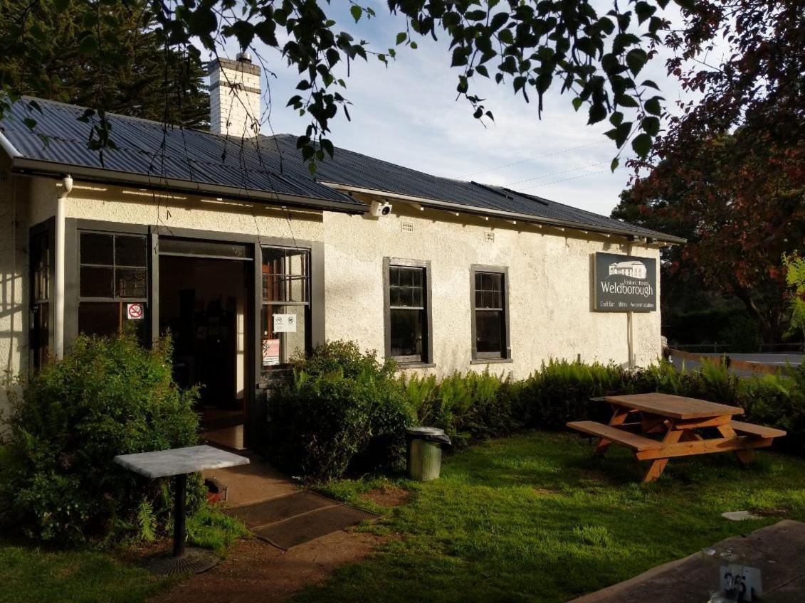 Weldborough Hotel Exteriér fotografie